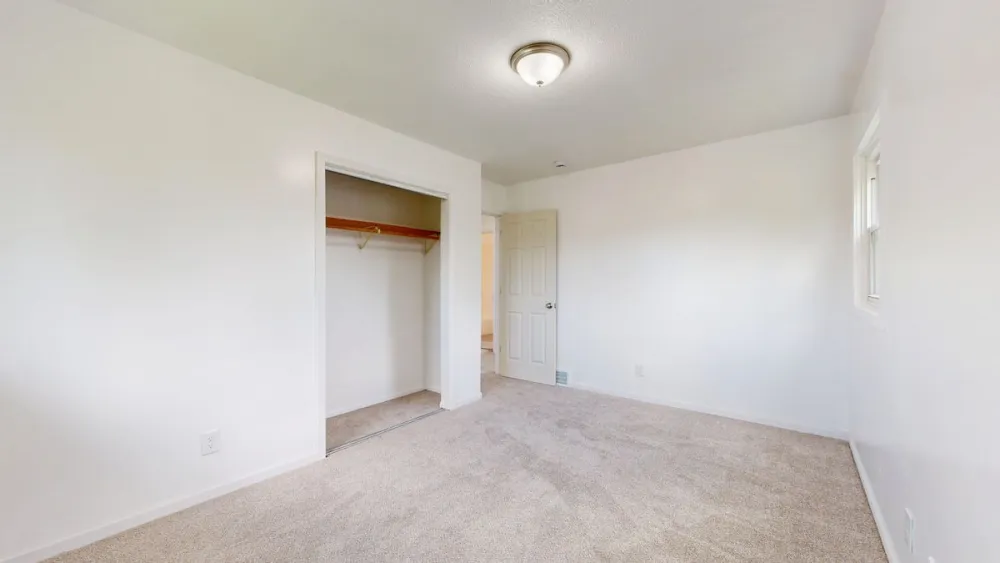 Freshly carpeted room