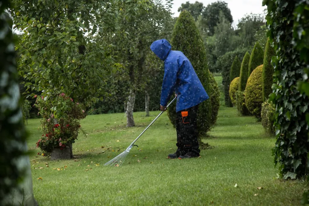 Worker raking leaves during a yard cleanup