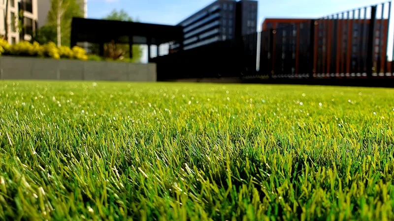 Landscaping and outdoor yard work in Edina, MN